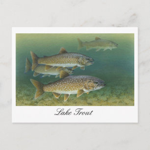 Carte postale Peinture de truite du lac