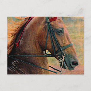 Carte Postale Peinture des Faux selles