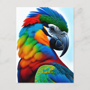 Carte Postale Peinture d'oiseaux aux perroquets macaw colorés