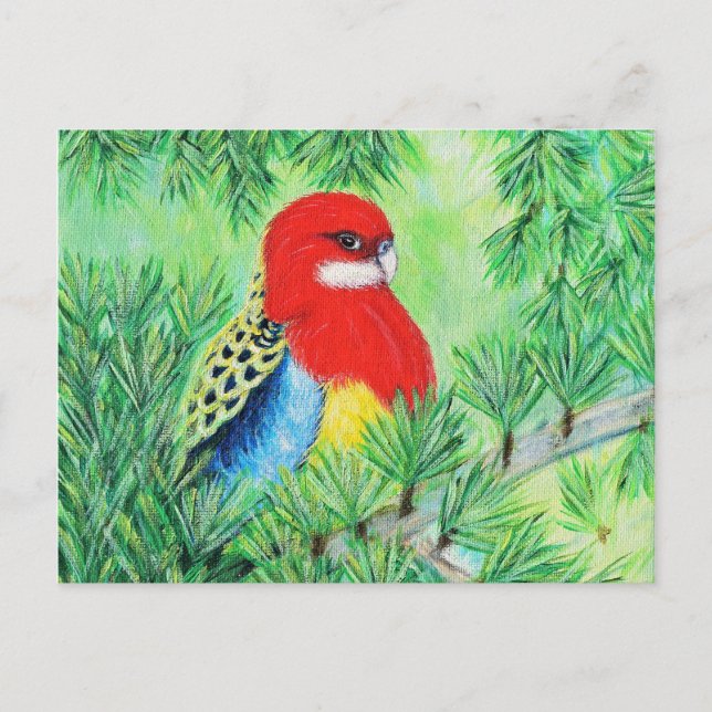 Carte Postale Peinture d'oiseaux Rosella (Devant)