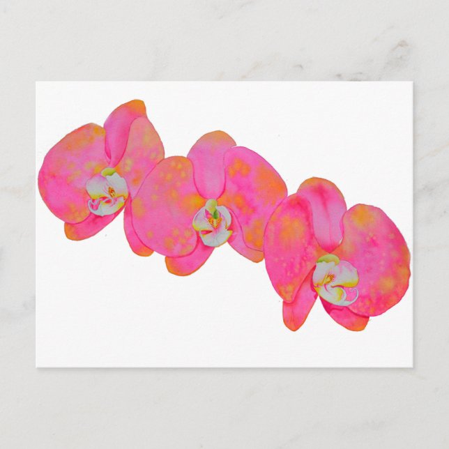Carte Postale Peinture d'orchidée rose (Devant)