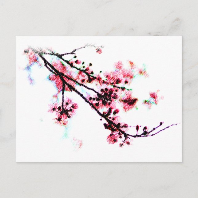 Carte Postale Peinture en fleurs de cerisier (Devant)