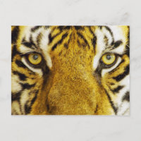 Peinture Extraordinaire de la faune des yeux de ti