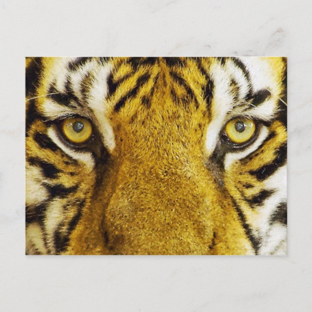 Carte Postale Peinture Extraordinaire de la faune des yeux de ti (Devant)