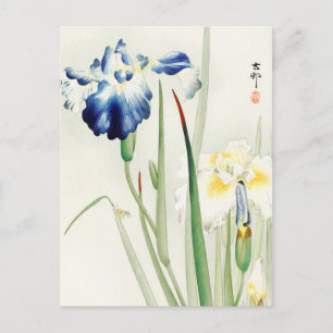 Carte Postale Peinture florale d'Irises par Ohara Koson