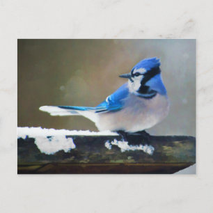 Carte Postale Peinture Jay Bleu - Art Oiseau Original
