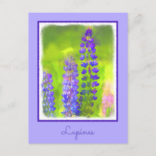 Carte Postale Peinture Lupine - Art Fleur Original