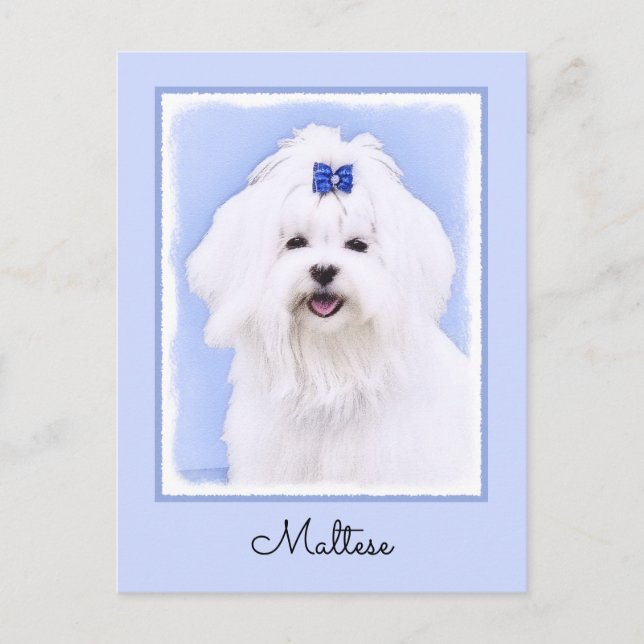Carte Postale Peinture maltaise - Joli art original pour chien (Devant)