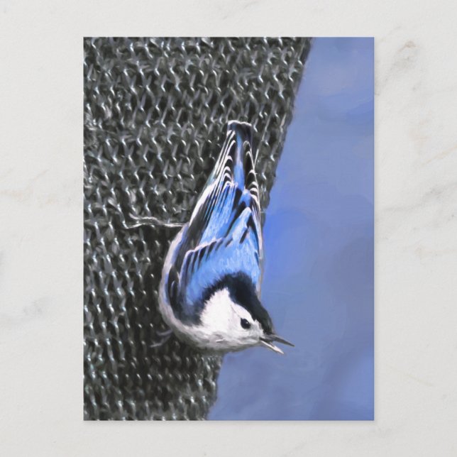 Carte Postale Peinture Nuthatch à poitrine blanche Art original (Devant)