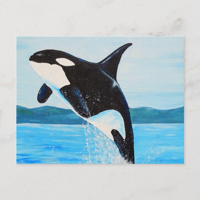 Carte Postale Peinture Orca (Devant)