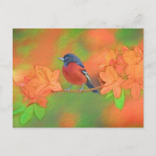 Carte Postale Peinture originale d'oiseau chanteur Oriole de ver