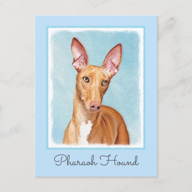 Carte Postale Peinture Pharaon Hound - Cute Original Chien Art (Devant)