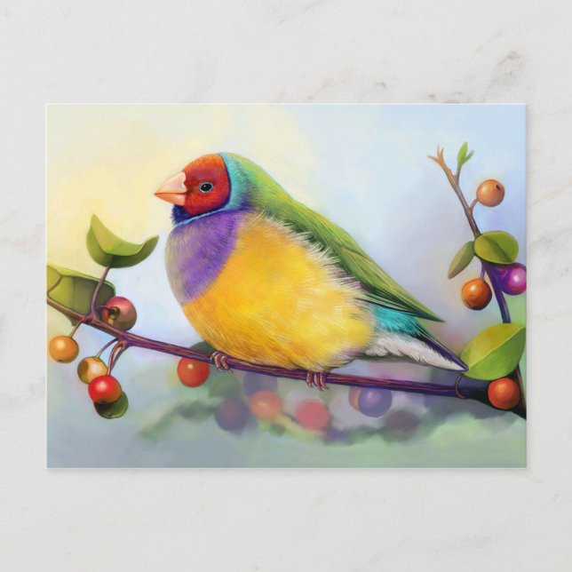 Carte Postale Peinture réaliste Gouldian (Devant)