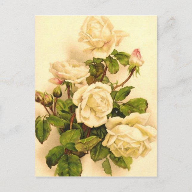 Carte Postale Peinture Rose ivoirienne victorienne (Devant)