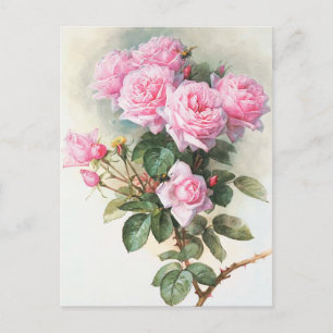 Carte postale Peinture Roses Roses vintages