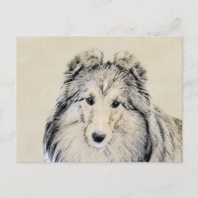 Carte Postale Peinture Shetland Sheepdog - Jolie art original ch (Devant)