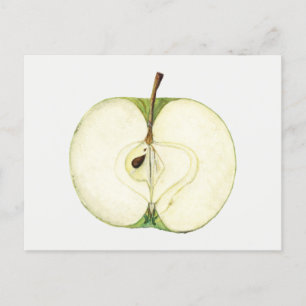 Carte Postale Peinture vintage de fruits de pomme verte