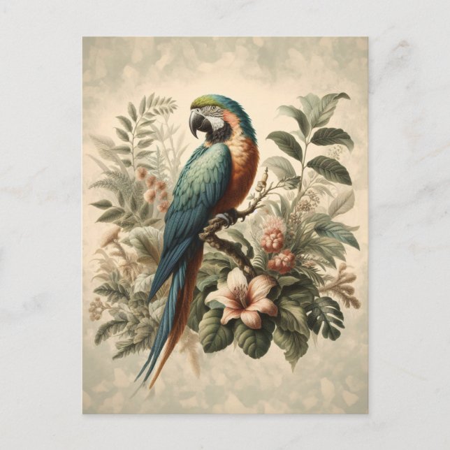 Carte Postale Peinture vintage Macaw Botanique (Devant)