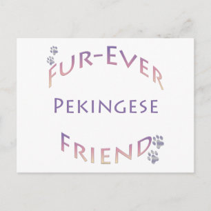 Carte Postale Pekingese Furever
