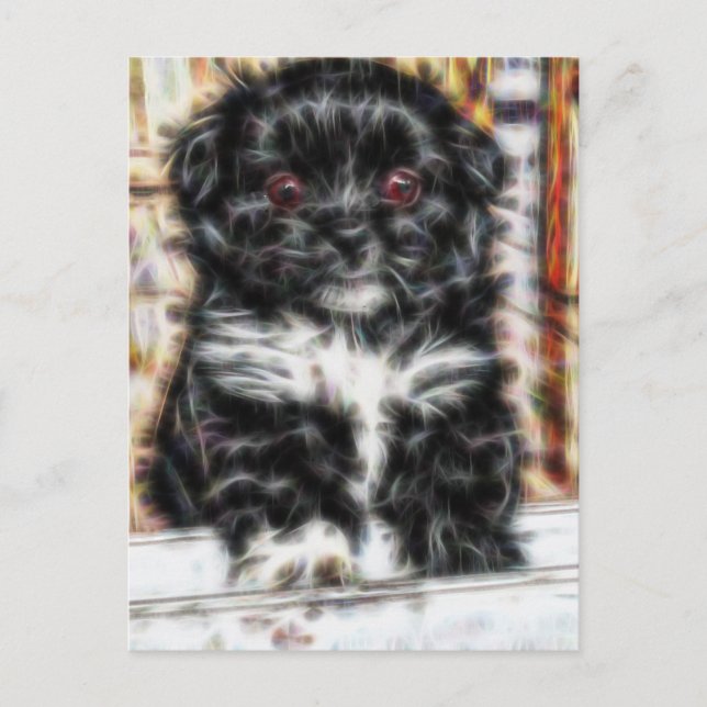 Carte Postale Pekingese mignon Chien chiot (Devant)