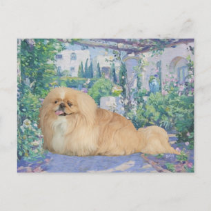 Carte Postale Pékinois en lavande