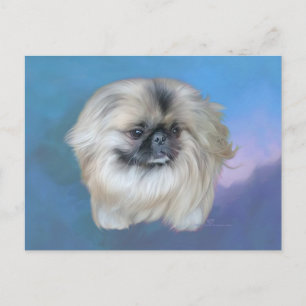 Carte Postale Pékinois Lily sur Bleu