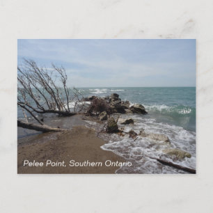 Carte Postale Pelee Point, Sud de l'Ontario