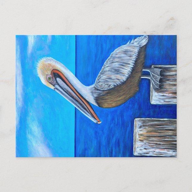 Carte Postale Pélican (Devant)