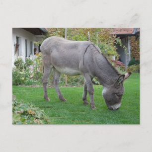 Carte Postale Pelouse Biologique Sur Quatre Trous