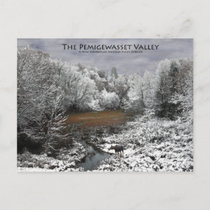 Carte postale Pemigewasset Valley : Oie sur Oxyde