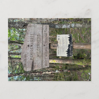 Carte Postale Pemigewasset Wilderness Postcard