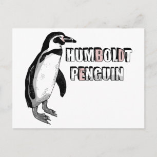 Carte Postale Penguin de Humboldt