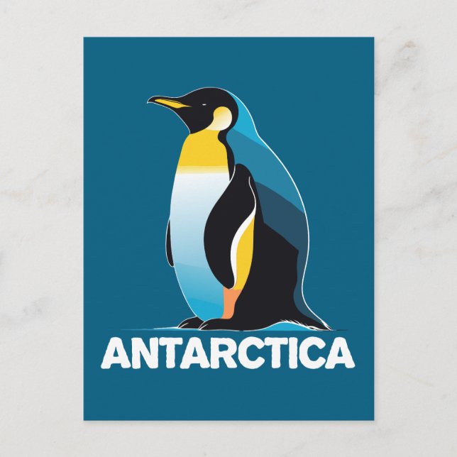 Carte Postale Penguin de l'Antarctique (Devant)
