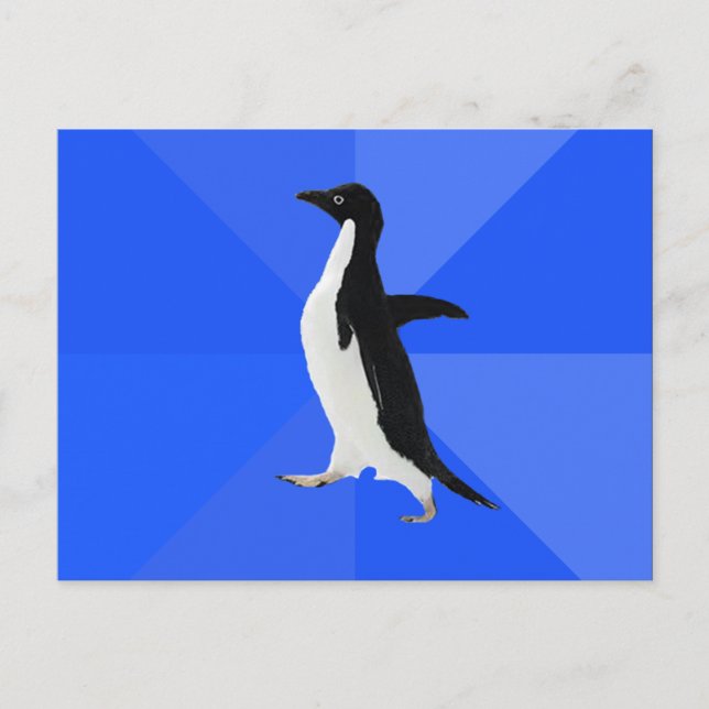 Carte Postale Penguin socialement maladroit ("Personnaliser" pou (Devant)