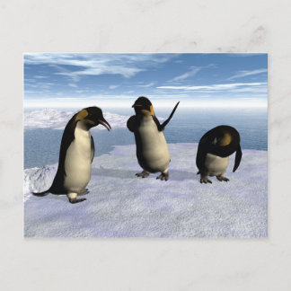 Carte Postale Penguins empereurs
