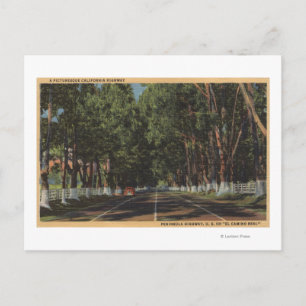 Carte Postale Peninsula Highway US 101 El Camino Real View