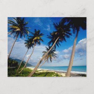 Carte Postale Péninsule de La Samana, République Dominicaine,