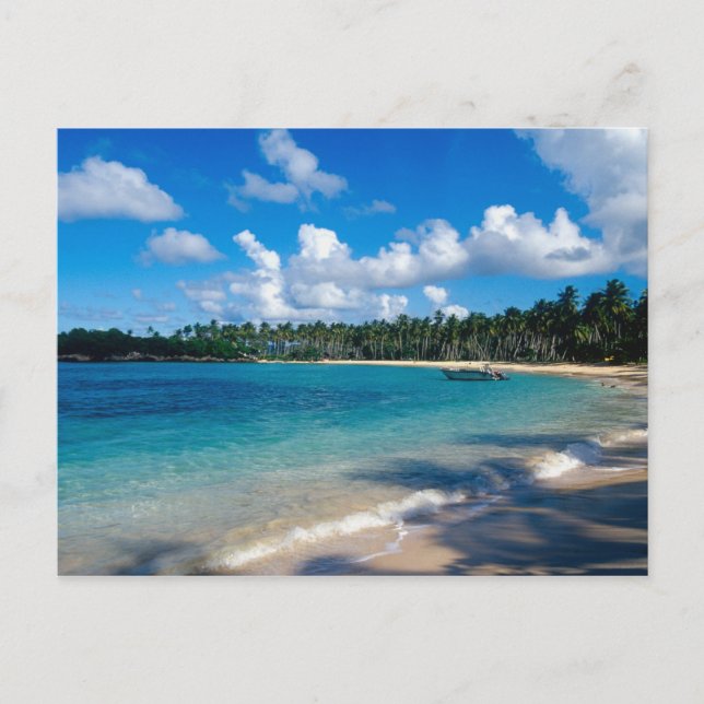 Carte Postale Péninsule de La Samana, République Dominicaine, 2 (Devant)