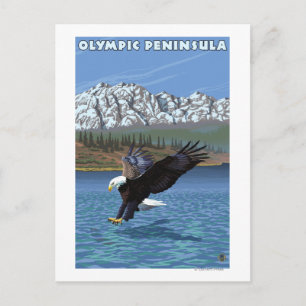 Carte Postale Péninsule olympique, Aigle de pêche de Washington