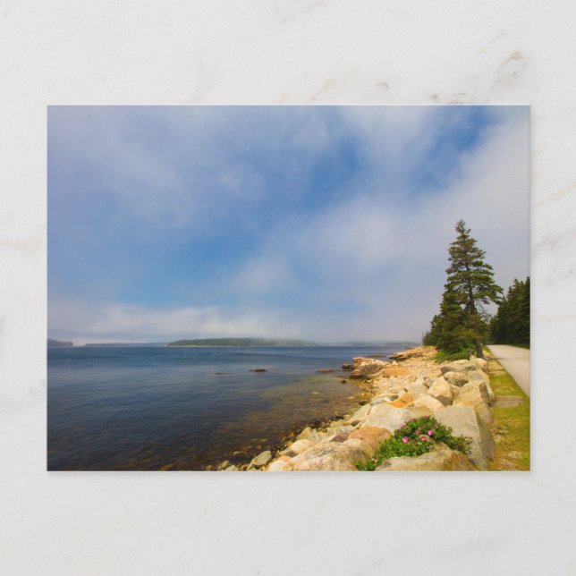 Carte Postale Péninsule Scolaire, Parc National Acadia, Maine (Devant)