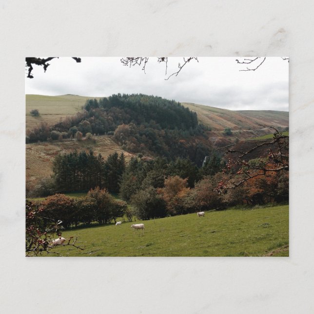 Carte Postale Pennant Valley Wales (Devant)
