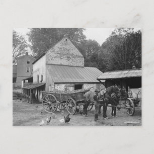 Carte Postale Pennsylvania Farm, 1906