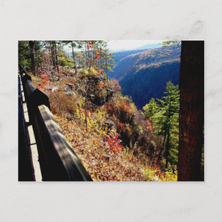 Carte Postale Pennsylvanie Grand Canyon - Leonard Harris St Park