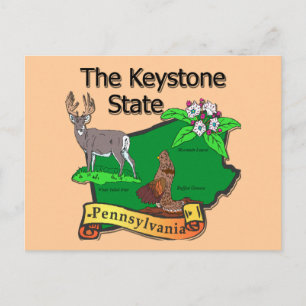 Carte Postale Pennsylvanie La Fleur de cerfs d'État Keystone