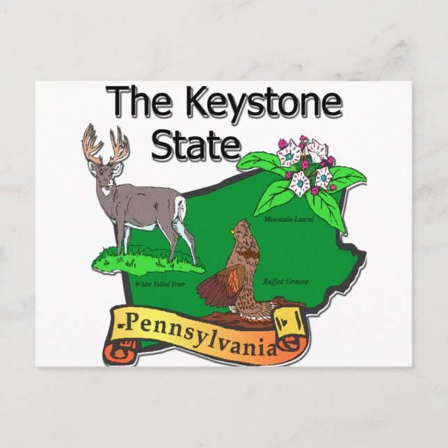 Carte Postale Pennsylvanie La Fleur de cerfs d'État Keystone (Devant)