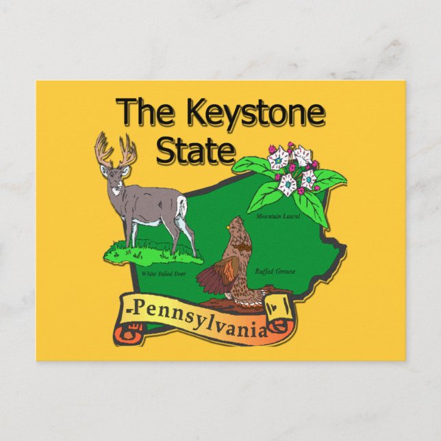 Carte Postale Pennsylvanie La Fleur de cerfs d'État Keystone (Devant)