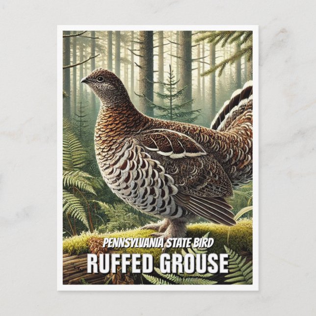 Carte Postale Pennsylvanie State Bird Ruffed Groupement (Devant)