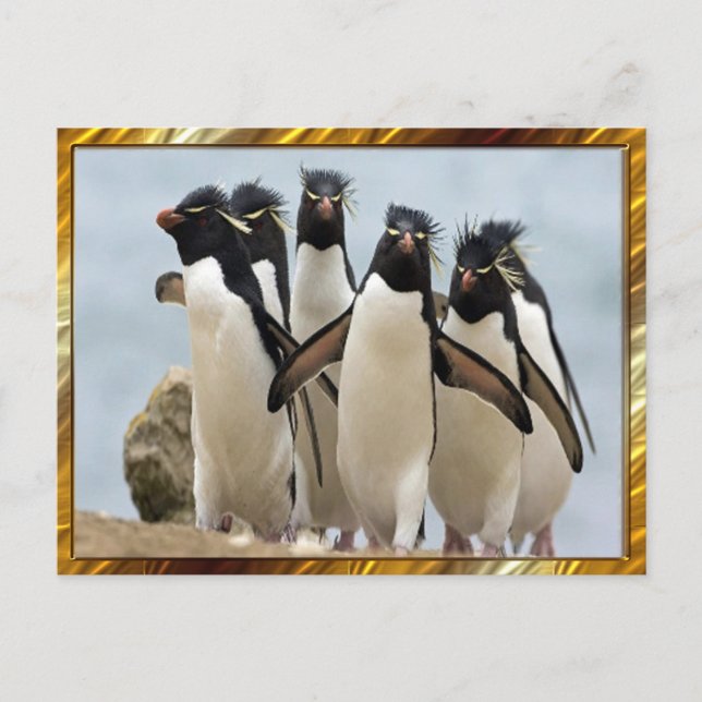 Carte Postale Penquin Walking (Devant)