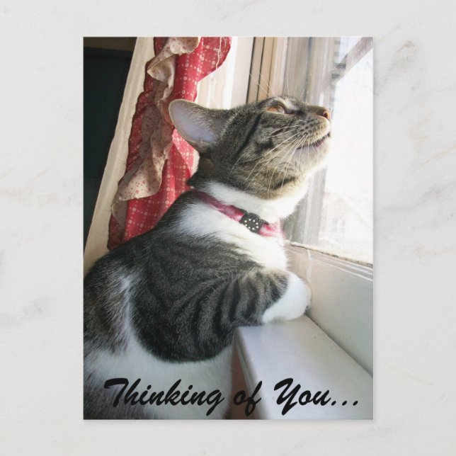 Carte Postale Pense à toi... (Devant)