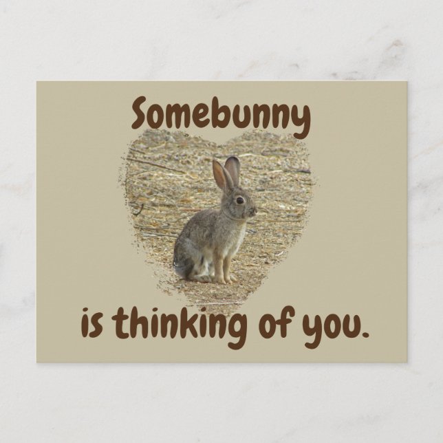 Carte Postale Pense à toi Mignon Lapin Me manque Amitié (Devant)